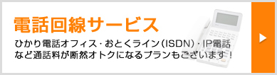 ひかり電話オフィス・おとくライン（ISDN）・IP電話など通話料が断然オトクになるプランもございます！